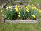 image of grave number 95229